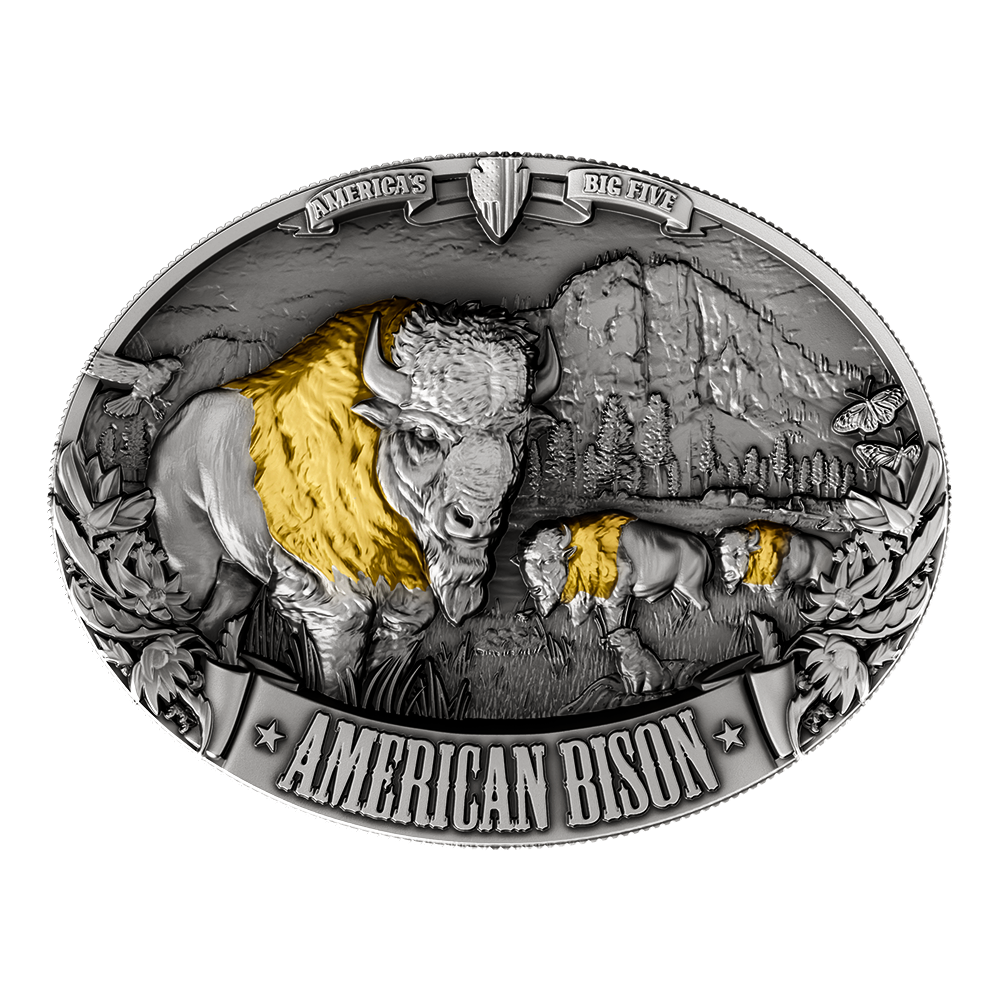 image of the american bison silver coin on a transparent background