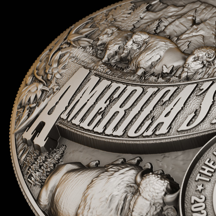 close up image of the american bison silver coin detail