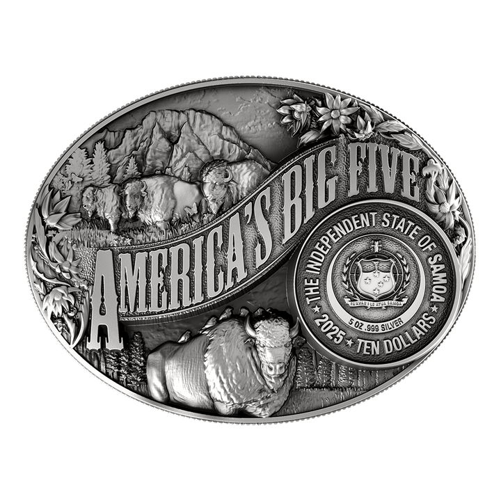 image of the american bison silver coin on a transparent background