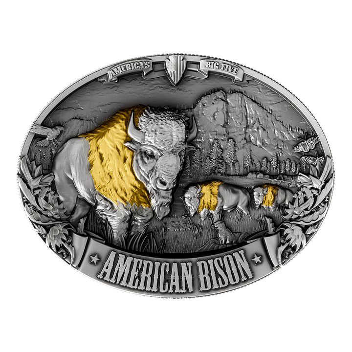 image of the american bison silver coin on a transparent background