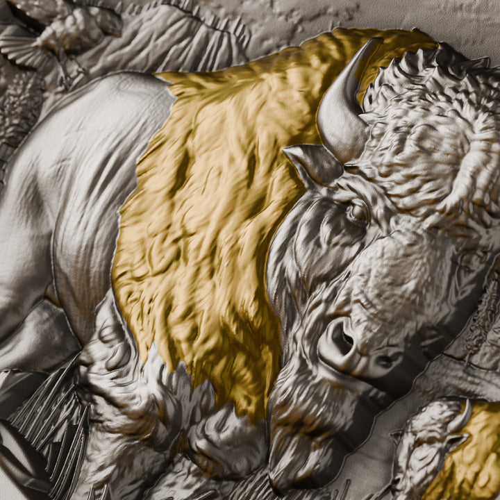 close up image of the american bison silver coin details