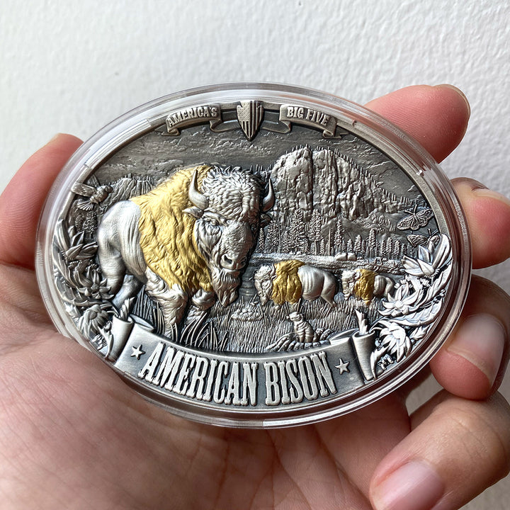 close up image of the american bison silver coin