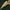 Gold-detailed pointed blade tip with engraved dragon and scrollwork