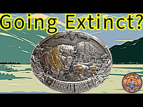 video review of the american bison 5 oz silver coin